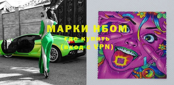 прущий лед Каменка