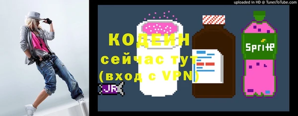 прущий лед Каменка