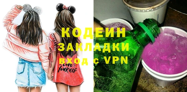 прущий лед Каменка