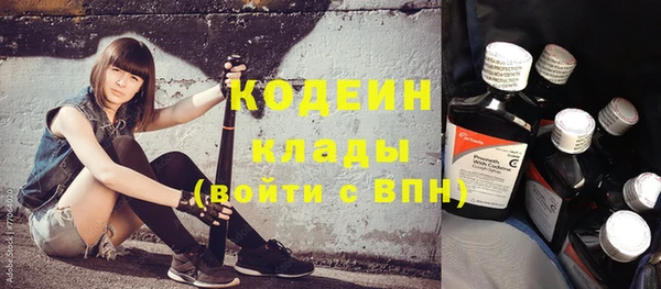 прущий лед Каменка