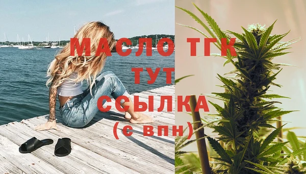 прущий лед Каменка
