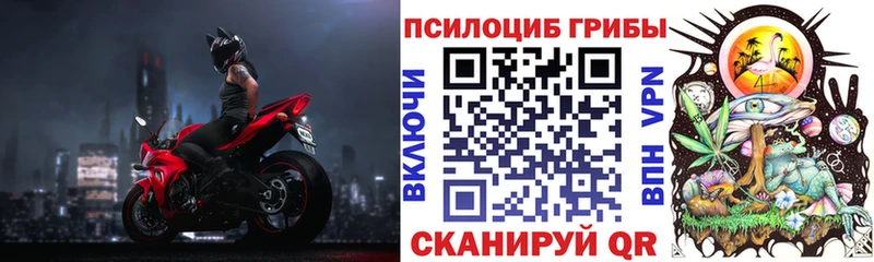 Купить закладки  Саяногорск  Галлюциногенные грибы Cubensis 